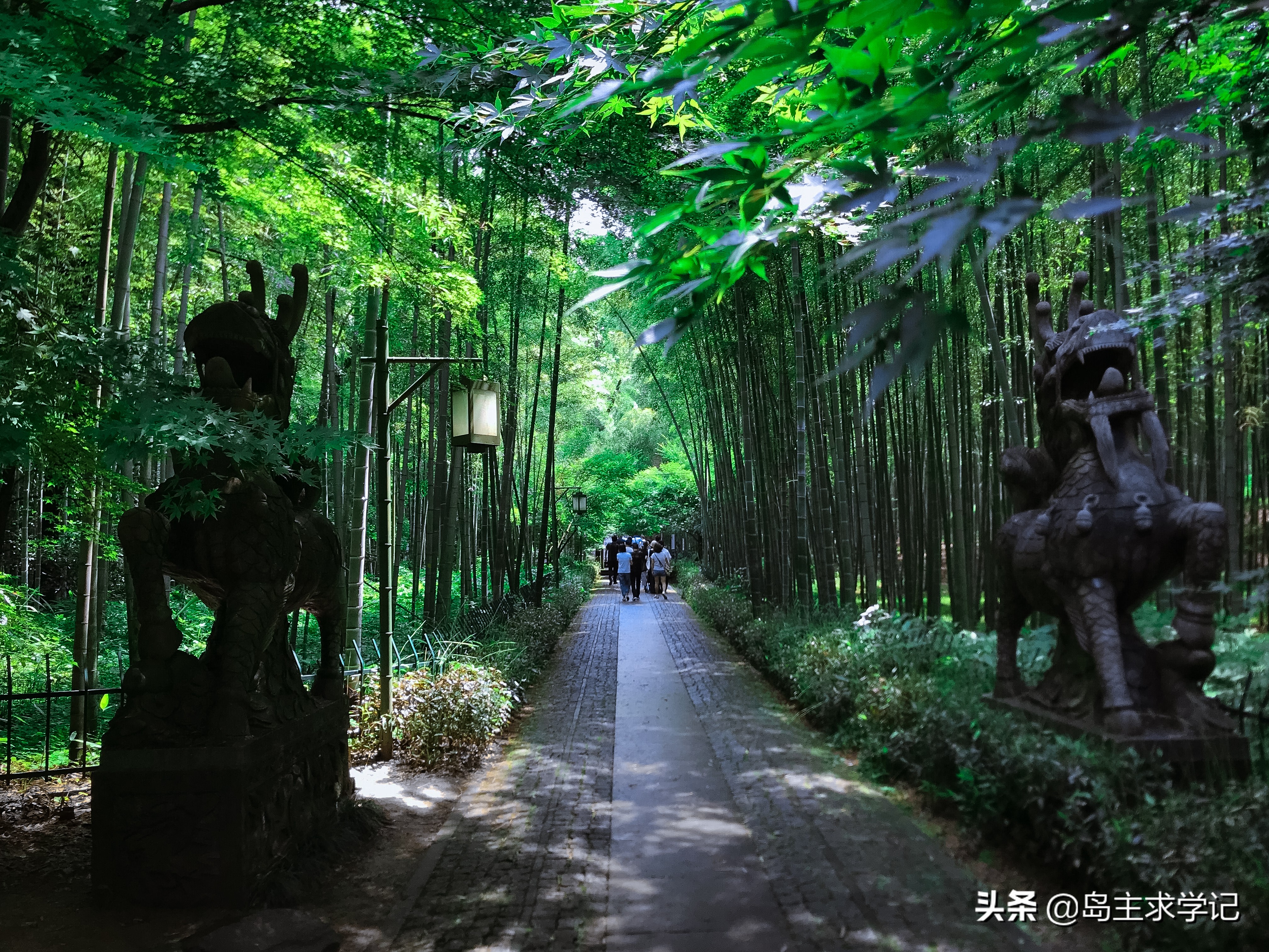 杭州西湖仙境云栖竹径,杭州好玩的地方推荐云栖竹径