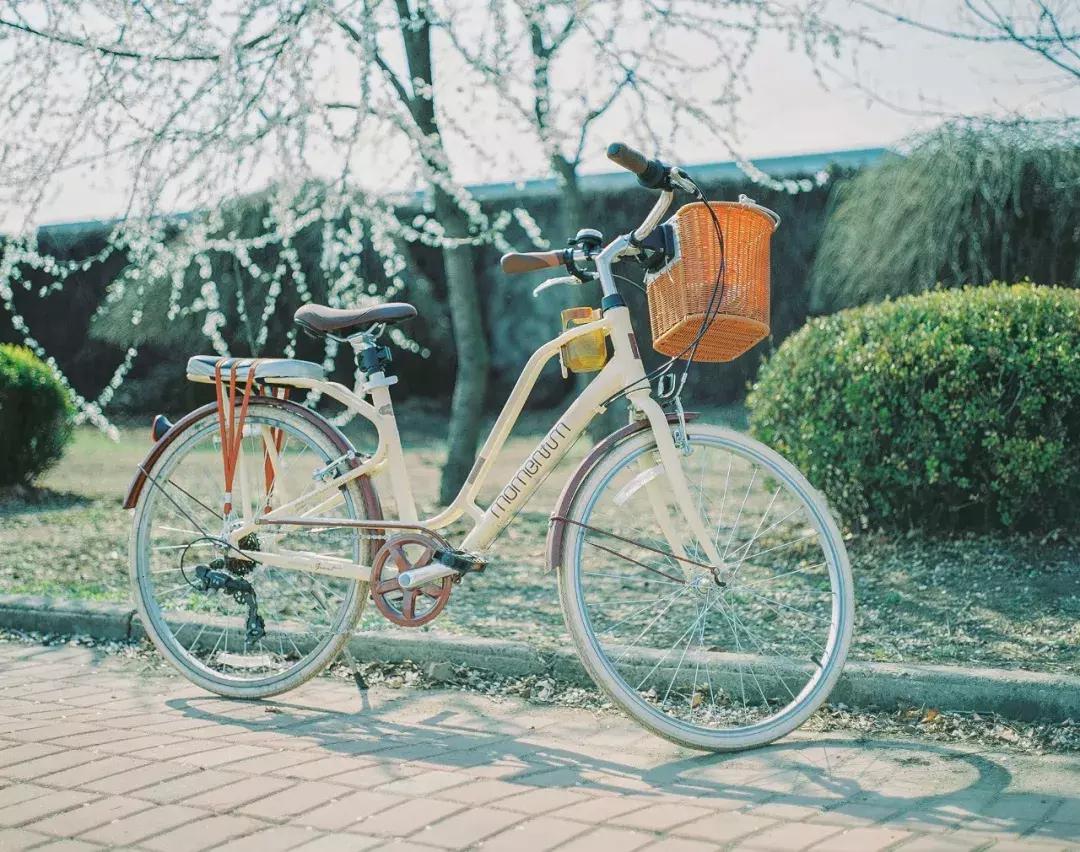 等一个人陪我旅游,等一个人陪我一起跨年