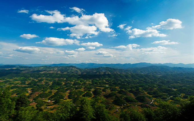 卧虎藏龙十面埋伏,十面埋伏在蜀南竹海哪个景点拍的