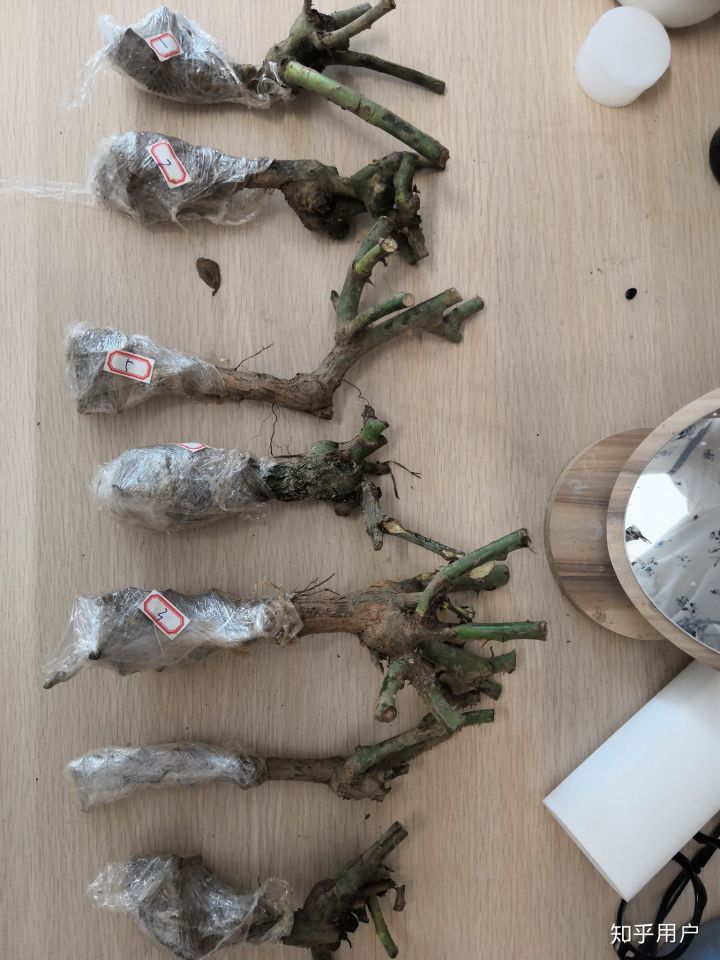 七夕情人节送喜欢的人什么礼物,七夕情人节送什么礼物最感动的