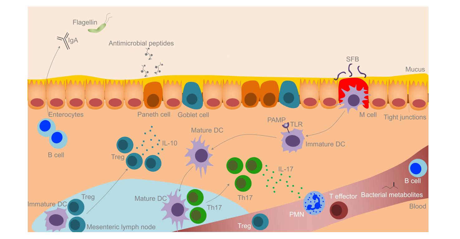婴儿污垢太多不洗会长进肉里面吗,宝宝脏一点没关系