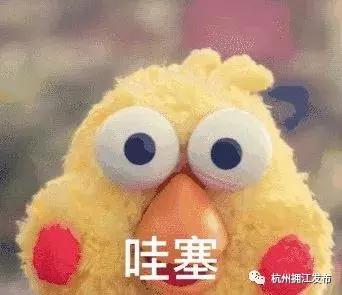 杭州西湖足球场,杭州富阳免费足球场