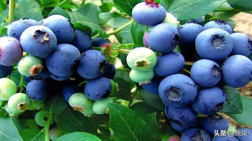 我骄傲我自豪我是中国人歌曲,我是庄河人