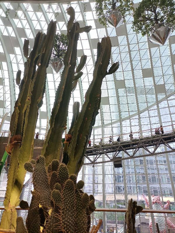 光环购物公园与新加坡樟宜机场,重庆观光购物公园