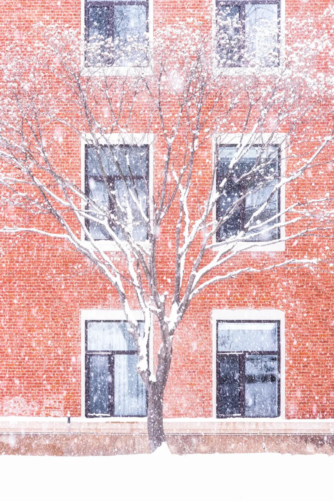 内工大初雪,大工山雪景