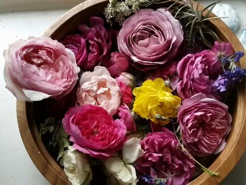 鲜花怎么保养成干花,鲜花变干花如何能保持原色