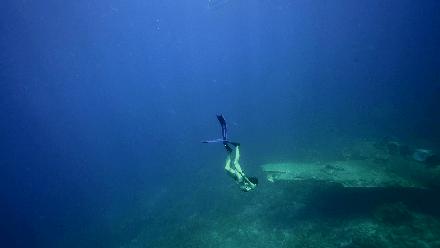 帕劳岛自由行潜水,帕劳水母湖自由潜视频