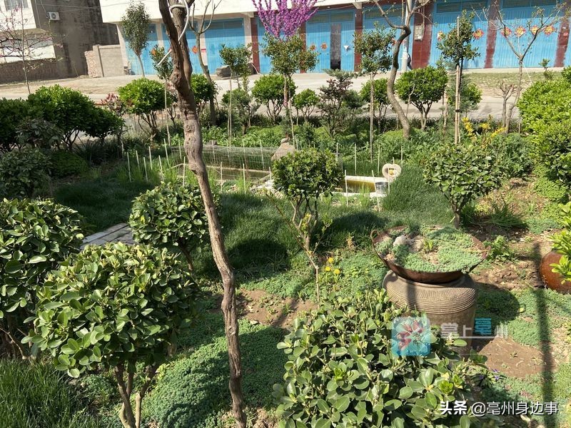 旧小区阳台自制秋千,乡里自制秋千