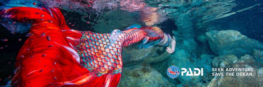 只要你愿意，就能圆你一个人鱼公主梦|美人鱼系列课程