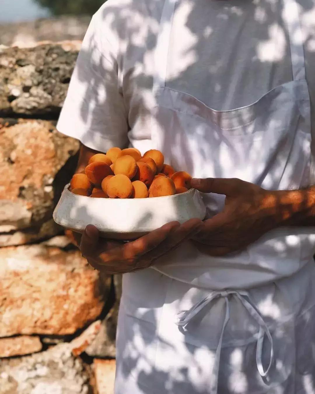 杏是一种什么水果,杏是热带水果么