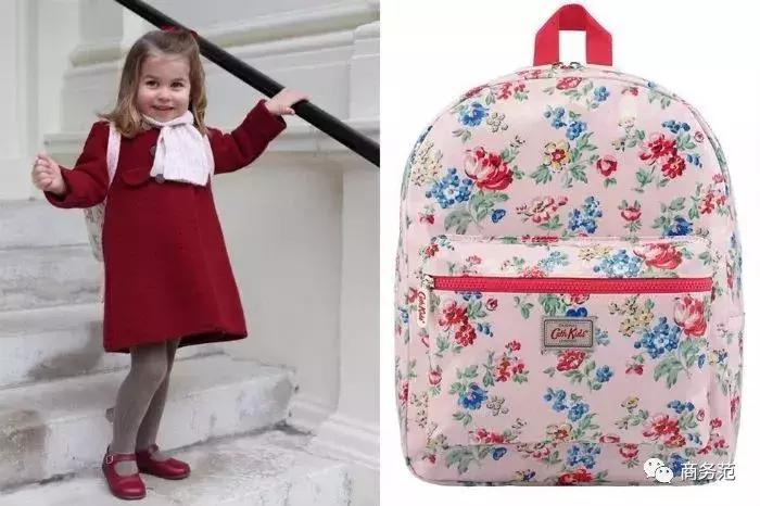 梅根王妃婴儿车,梅根为什么要付出代价