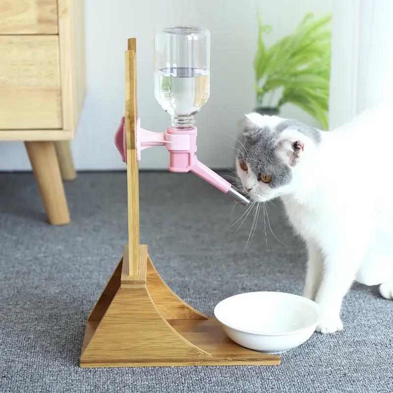 铲屎官最担心猫咪的几件事,爱玩水的猫怎么治