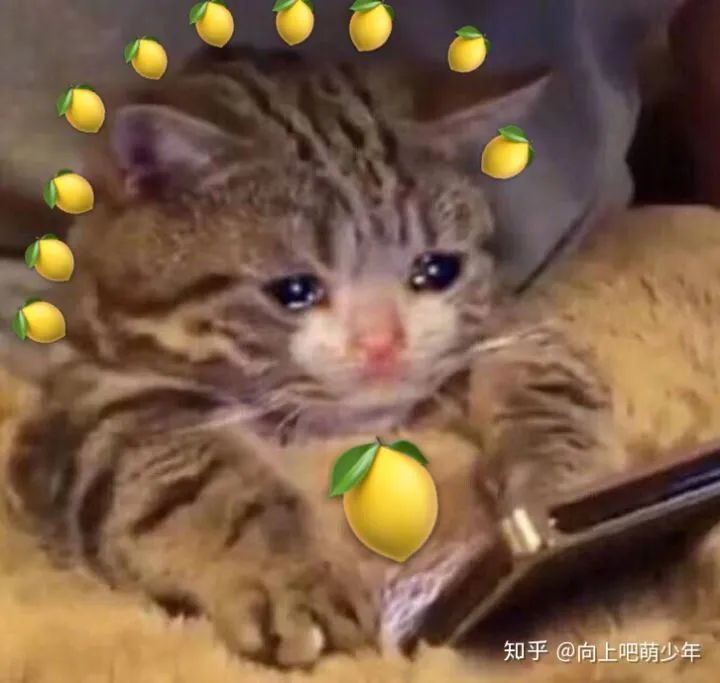 人为什么要努力呢你问过你自己吗,你有问过你自己到底为什么努力吗