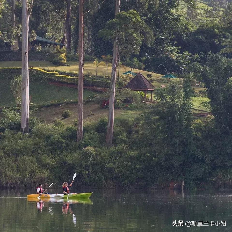 锡兰藏着3家罗莱夏朵：英式茶园野奢帐篷和悬崖海滨，随时去隐居