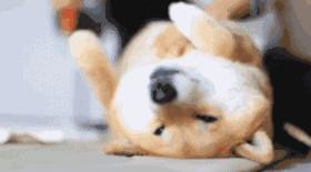 儿童游乐场利润大吗,儿童游乐园利润分析