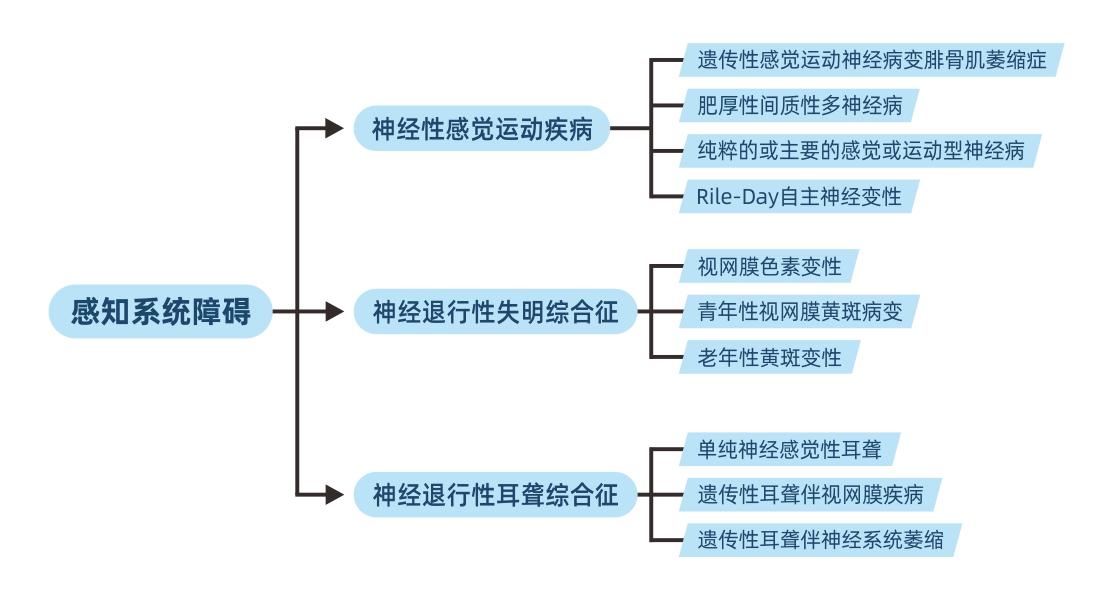 神经科学与神经退行性疾病,神经退行性疾病科研