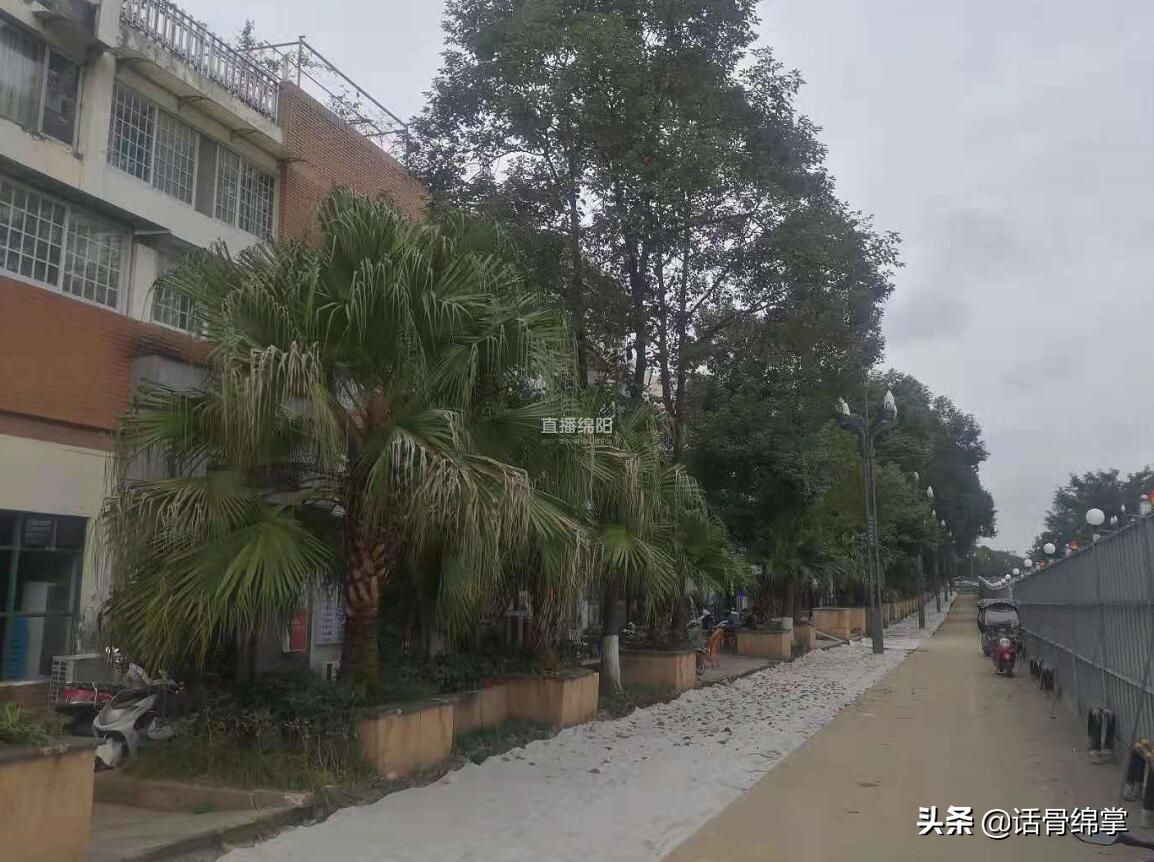 科技城招人,新区科技城店铺出租