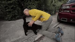 大家都在争抢猫爪杯？吸猫的最高境界，带着摄影机“猫步走天下”