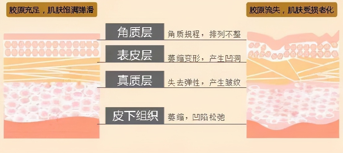 缇℃厱鍒汉鐨勭毊鑲ゅ簳瀛愬ソ,缇℃厱鍒汉鐨勮韩鏉愬拰鑲岃倝