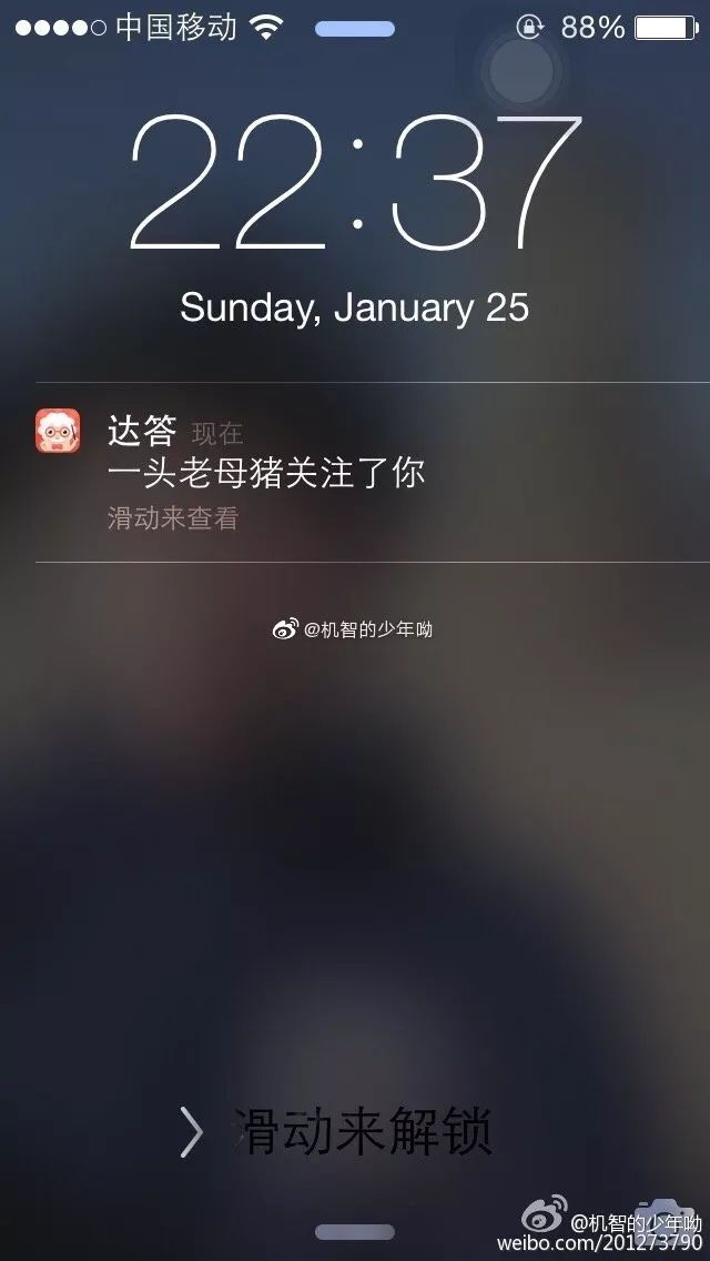 为什么淘宝会推送我想要的东西,为什么淘宝推送的全是广州的女装