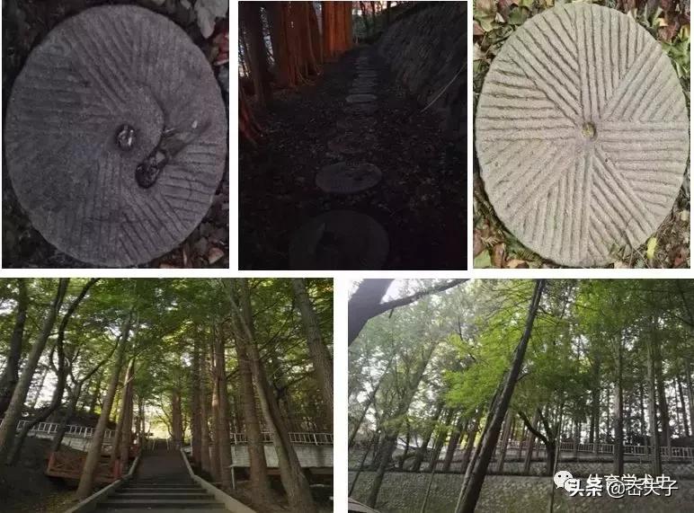 依山而建的真“石”谎言——韩国最美校园那坚美的堡垒