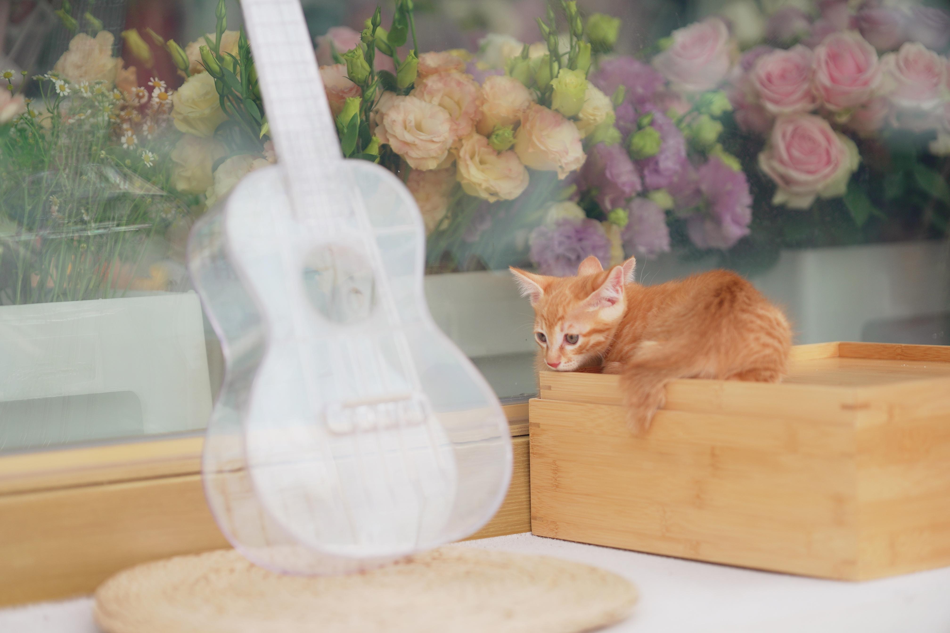 花店网红深圳,深圳网红花店仪式感