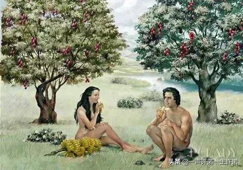 造人全过程，别不好意思看