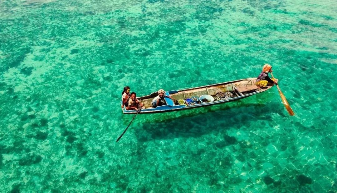 80个冷知识视频讲解大全,旅行冷知识