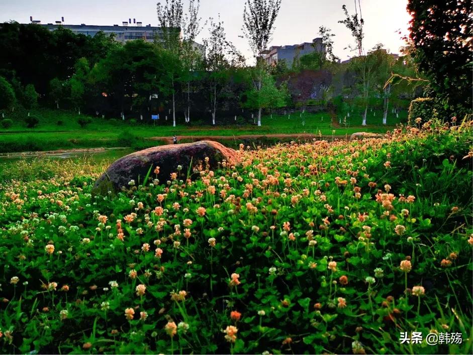 出游不必远行,出游不再烦恼