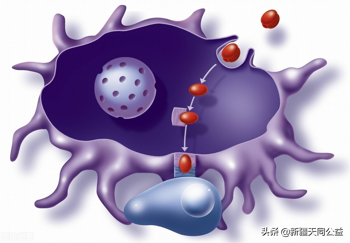 你知道艾滋病毒有多可怕吗,艾滋病hiv是什么意思
