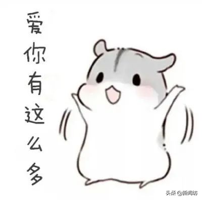 怀念！上海人的老娘舅、甜姐儿…这一年，许多熟悉的名字离我们远去