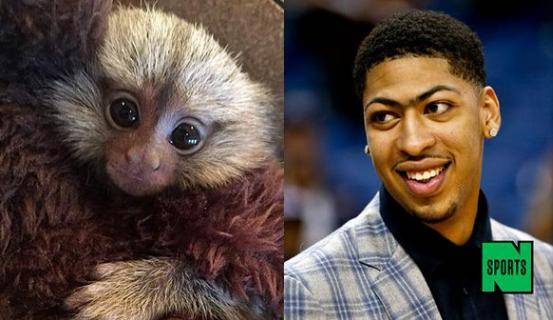 nba趣味比赛,nba球星的奇葩爱好