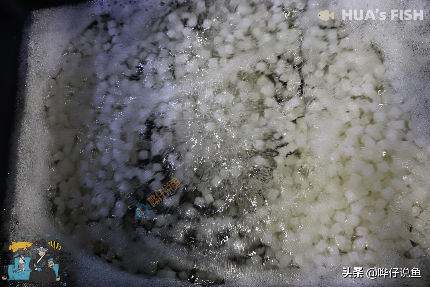 恕我直言，翻滚滤材的出现，是我国观赏鱼行业的一次*退倒**