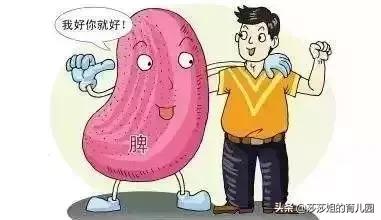 养心养肝护肾的方法,疏肝养心润肺药