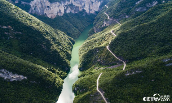 最牛村支书后续,打黑风暴最牛村主任视频