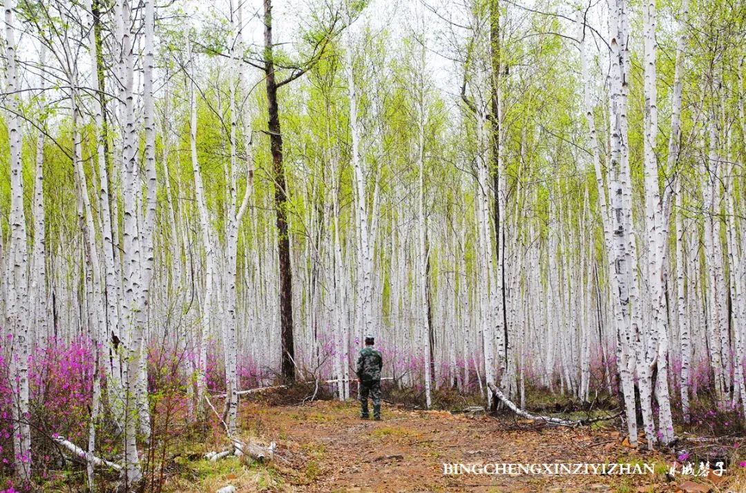 寻找中国最美的春季,探寻中国最美秘境