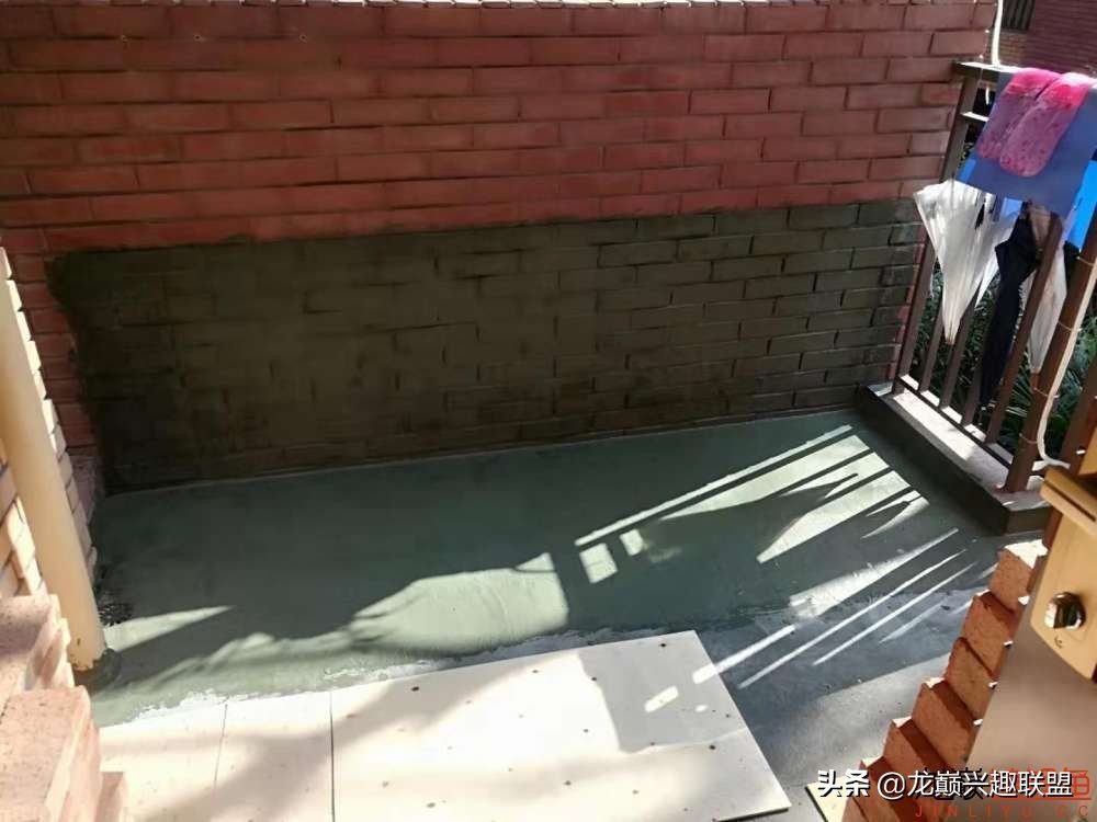 鱼友自制龙鱼缸,自制锦鲤鱼食配方及全过程