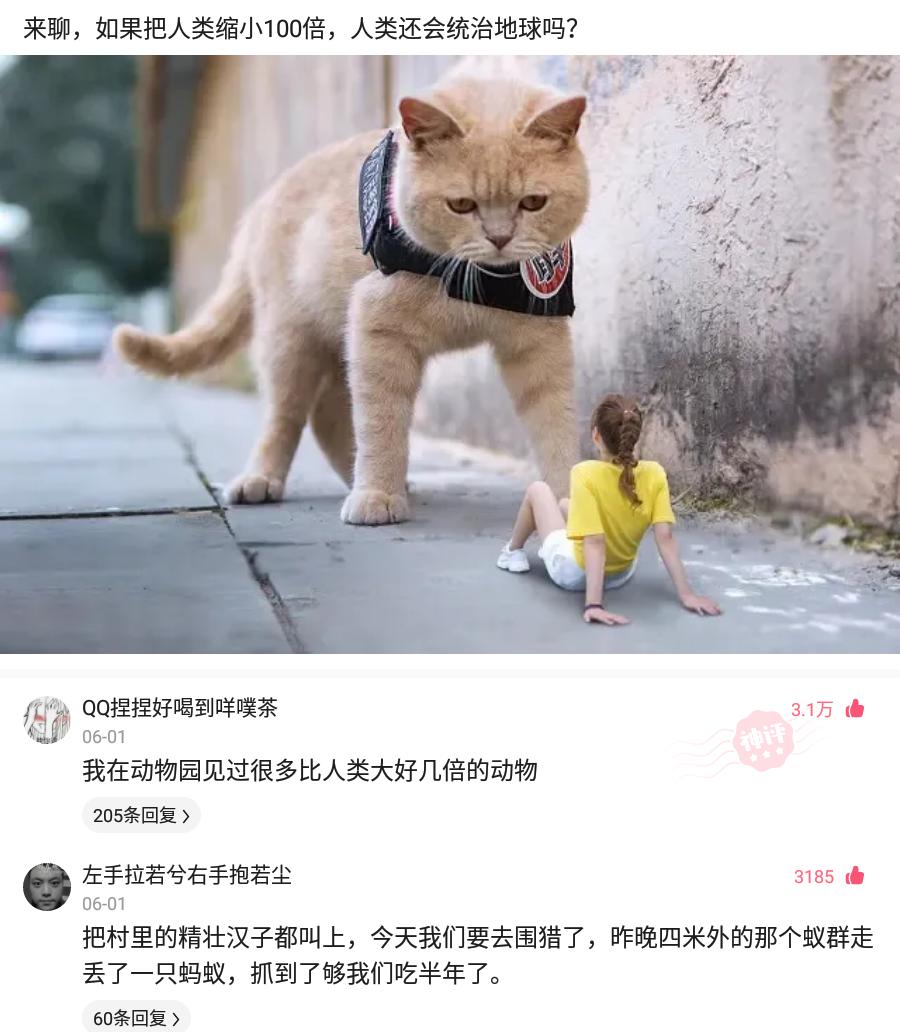 大古每次怪兽出现的时候原视频,神回复个个都是神