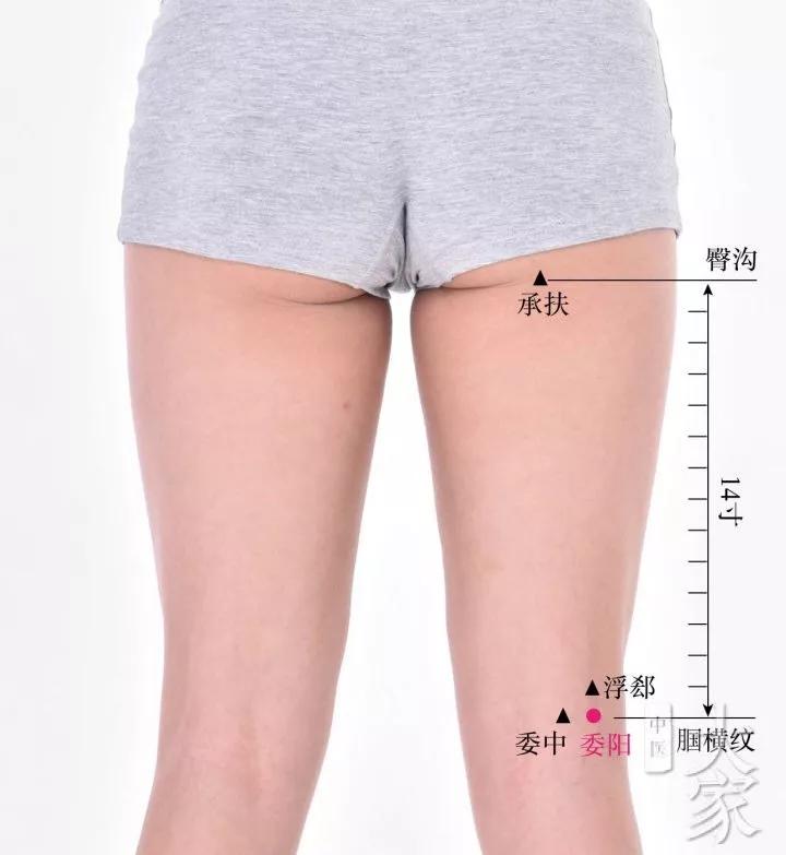 徐文兵全身瘙痒,徐文兵治疗肛痒