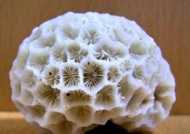 在山上看到这些宝石千万不要错过,深山瑰宝那些不为人知的天然宝石