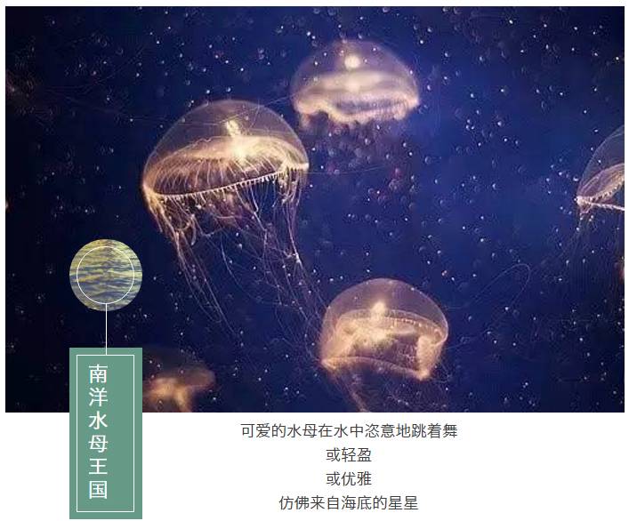 赶海公园巽寮湾一日游,巽寮湾海公园国际滨海旅游度假