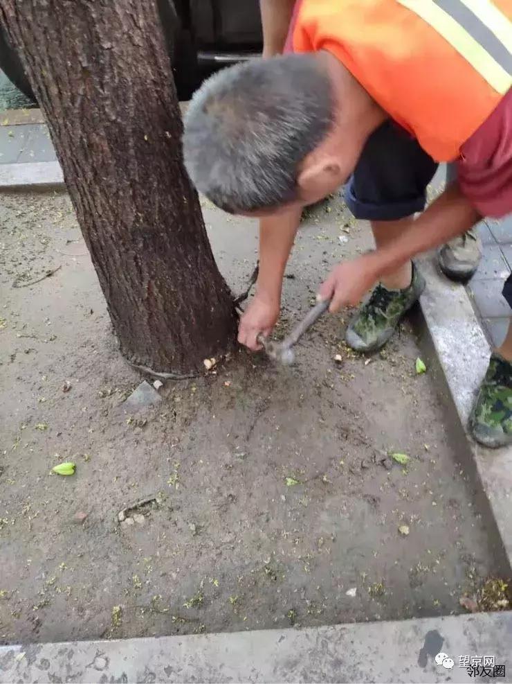 望京到大兴机场快线时刻表,北京快速直达专线112路发车时间