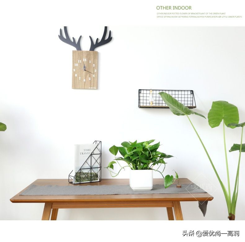 懒人必备小房间,懒人必备小宠物