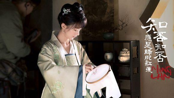 知否白莲女团谁最强,知否里的白莲谁最厉害