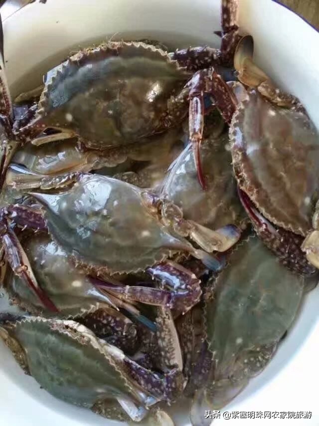 绉︾殗宀涙梾娓稿彲浠ュ嚭娴锋崟楸肩殑鍦版柟 (绉︾殗宀涚墽娴疯繙鑸啘瀹堕櫌)