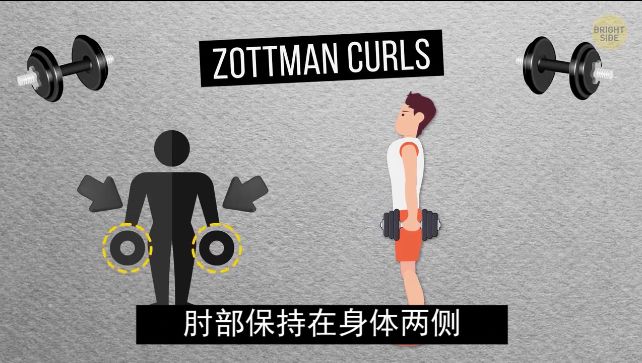 怎么练手臂的肱三头,怎么才能练出手臂的肱三头肌