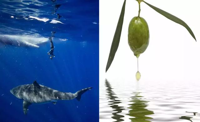 硬刚女皇龙妈也扛不住法令纹,2条沟壑让人心疼,贴一贴就消了