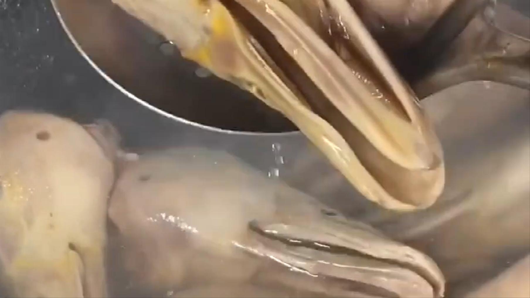 卤水鸭头怎么卤才好吃,简单卤水鸭头做法