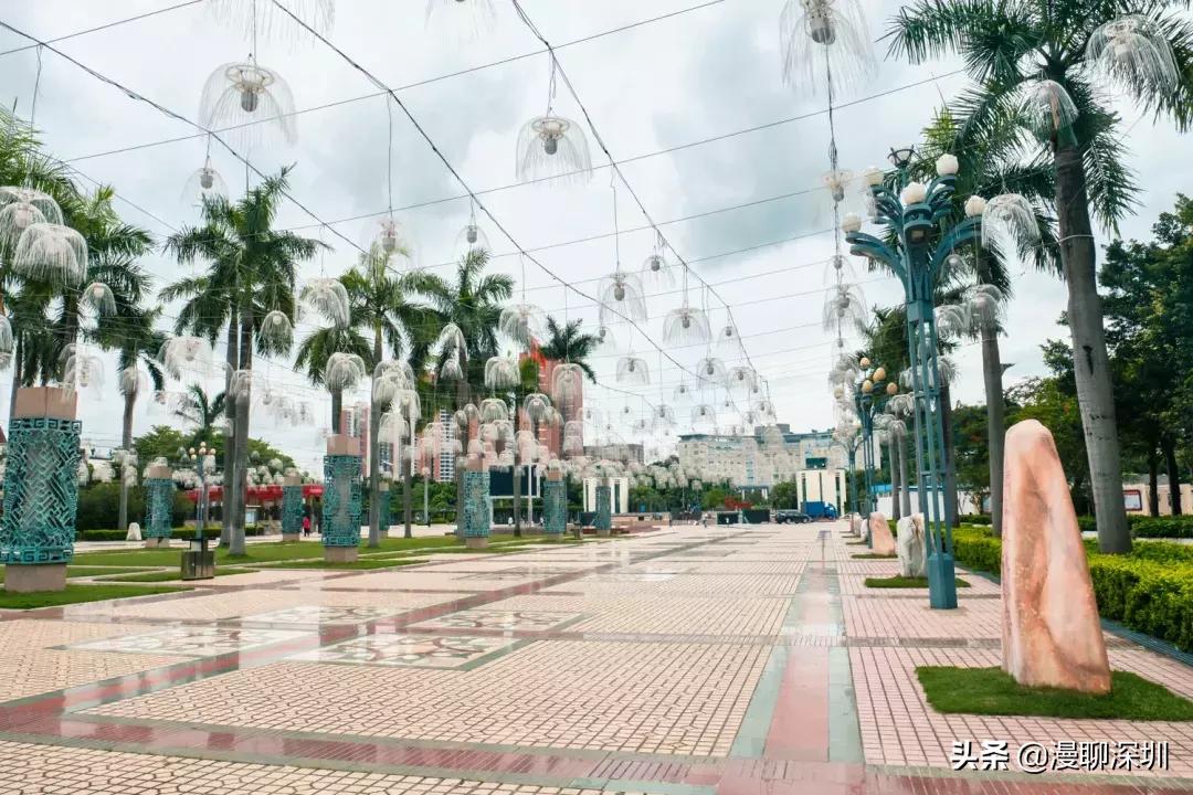 行走深圳歌曲,深圳观澜攻略