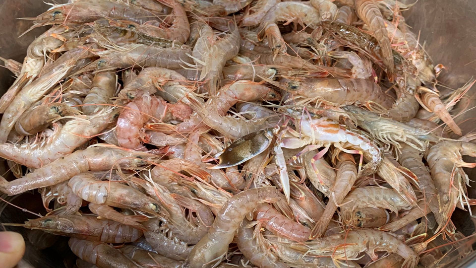 牛肉羊肉和虾肉哪个好,牛肉羊肉和虾哪个营养好